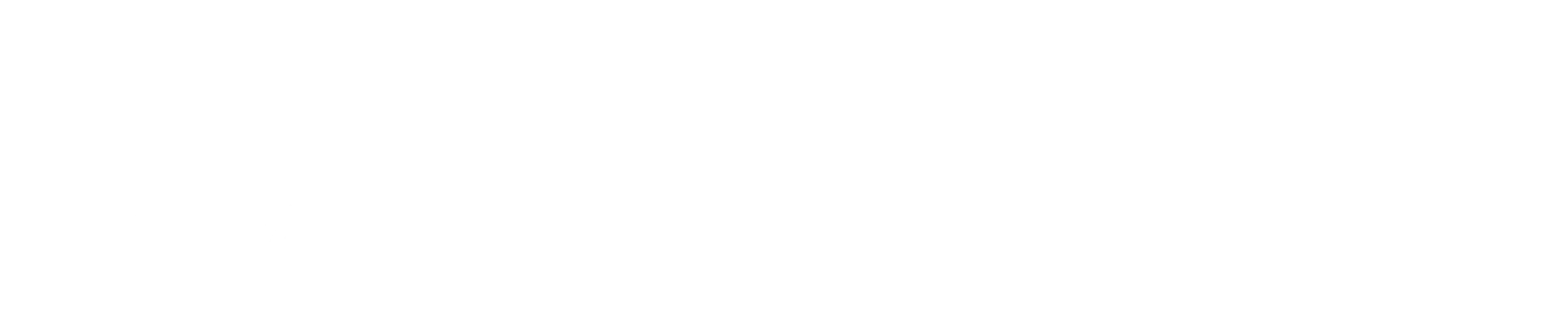 AUTONAMOUS